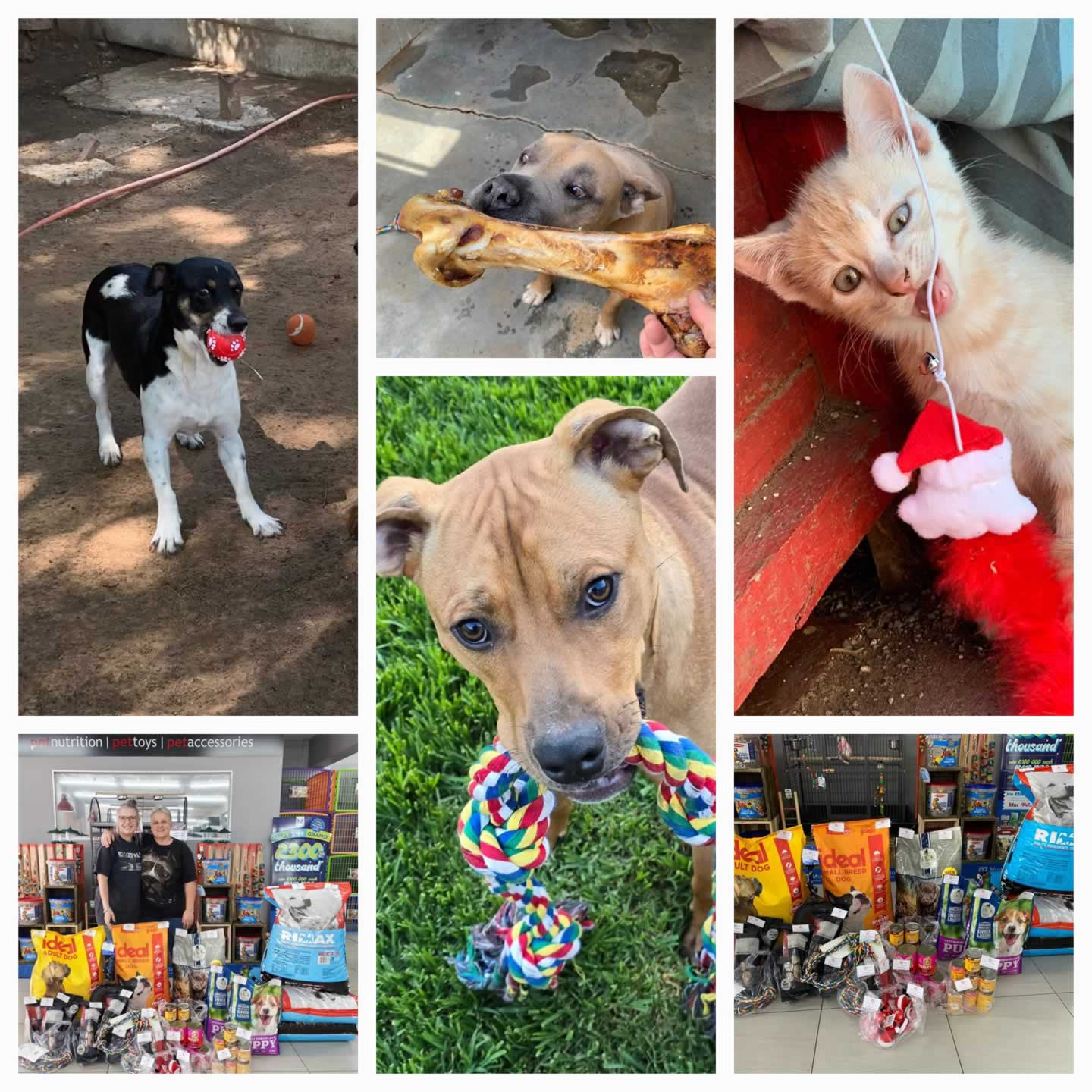 CLAWS Animal Welfare Welkom